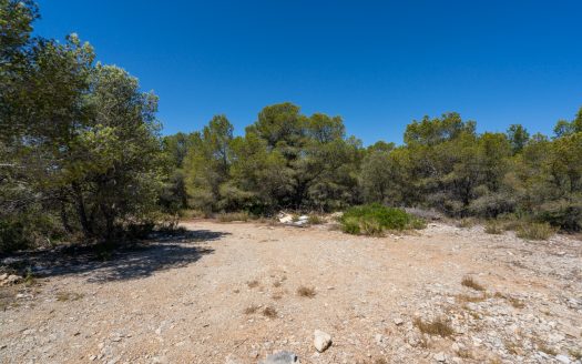 Land near the sea (373)