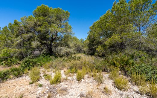 Land near the sea (373)
