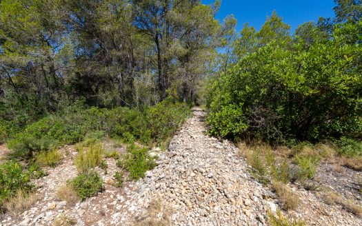 Land near the sea (373)