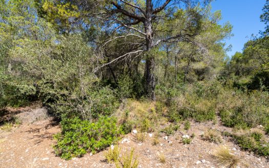 Land near the sea (373)