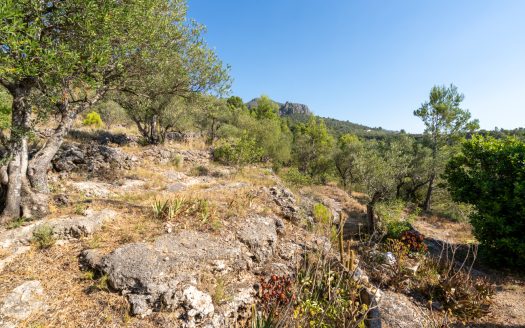 In the middle of the mountains (372)