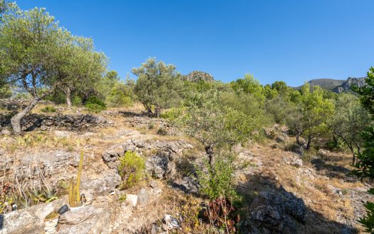 In the middle of the mountains (372)