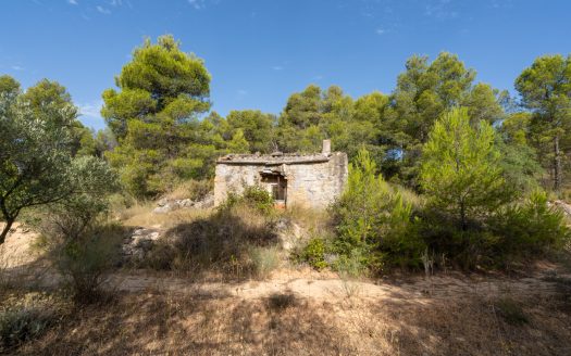 To embrace solitude (377)