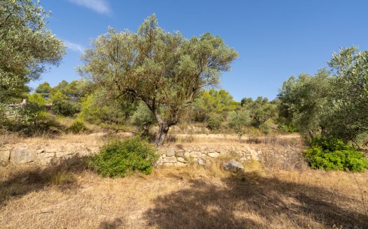 To embrace solitude (377)