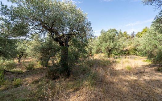 To embrace solitude (377)