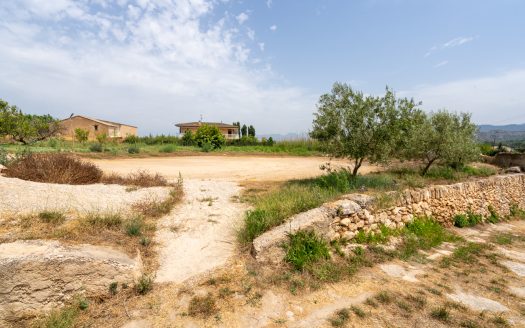Large semi-detached farmhouse near Tortosa (378)