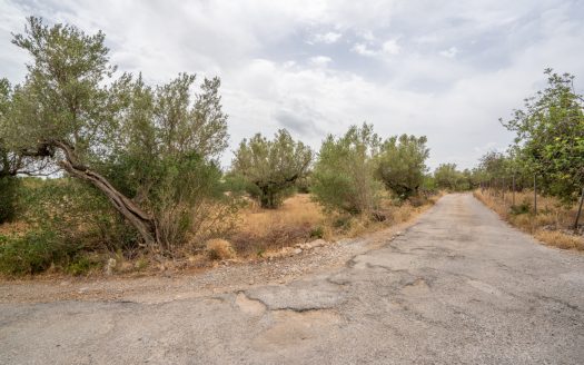Finca with water supply near Els Reguers (379)