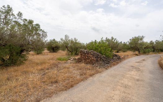 Finca with water supply near Els Reguers (379)