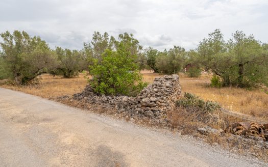 Finca with water supply near Els Reguers (379)