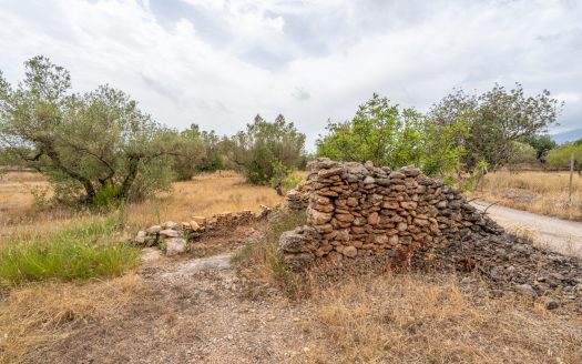 Finca with water supply near Els Reguers (379)