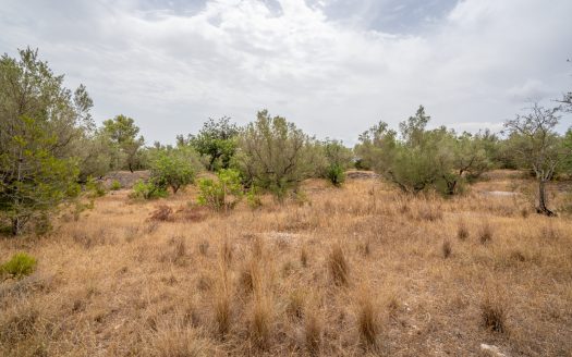 Finca with water supply near Els Reguers (379)