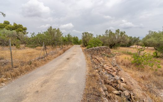 Finca with water supply near Els Reguers (379)