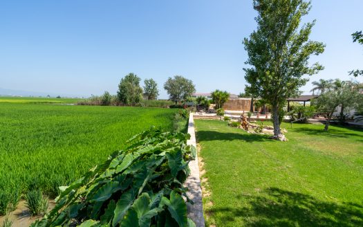 Farmhouse with Tourist Licence in the Ebro Delta (380)