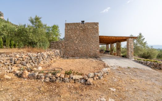 Magnificent natural surroundings (383)