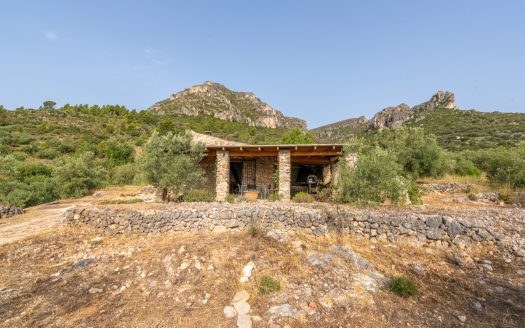 Magnificent natural surroundings (383)