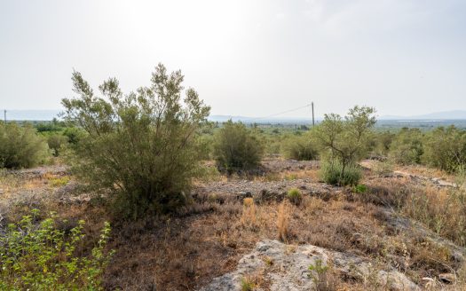 Magnificent natural surroundings (383)