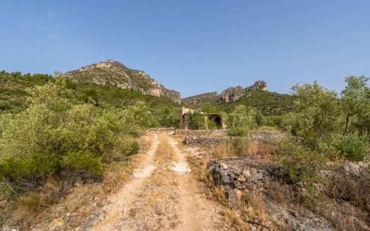 Magnificent natural surroundings (383)