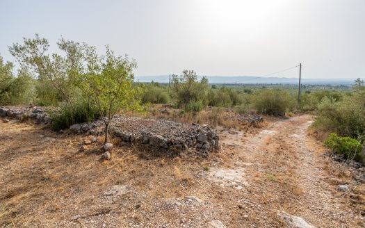 Magnificent natural surroundings (383)