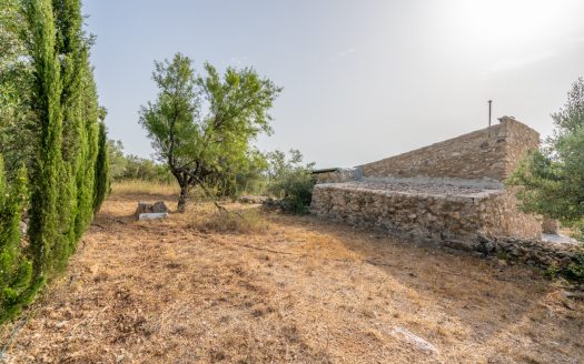 Magnificent natural surroundings (383)