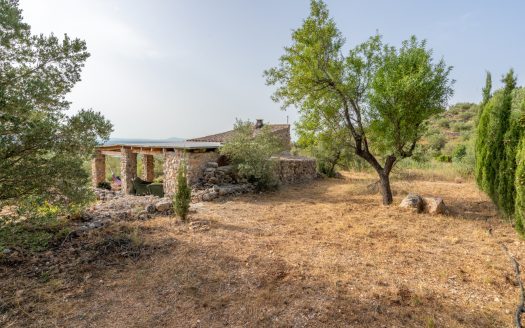 Magnificent natural surroundings (383)