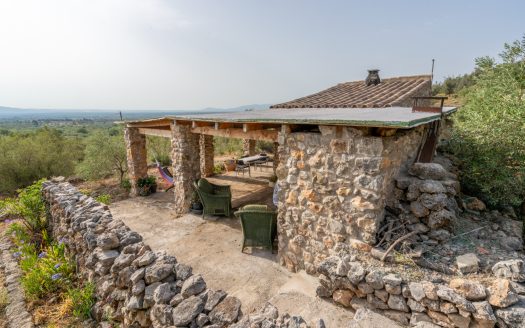 Magnificent natural surroundings (383)
