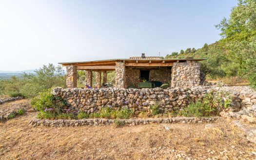 Magnificent natural surroundings (383)