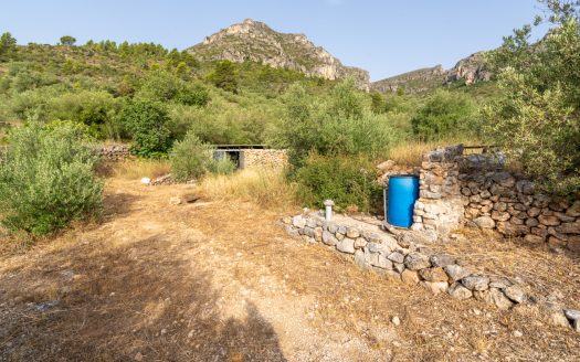 Magnificent natural surroundings (383)