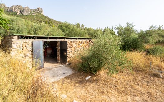 Magnificent natural surroundings (383)