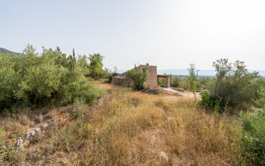 Magnificent natural surroundings (383)