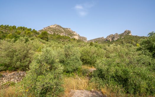 Magnificent natural surroundings (383)