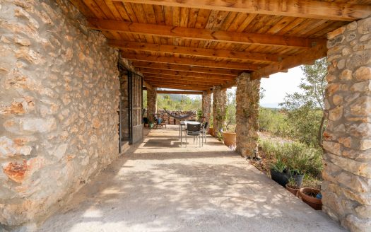 Magnificent natural surroundings (383)