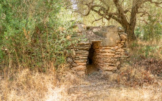 A country retreat to call your own (384)