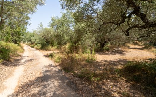 A country retreat to call your own (384)