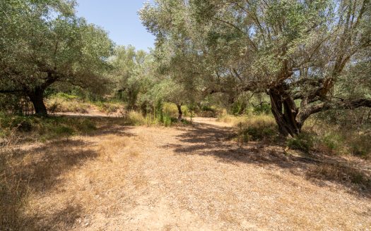 A country retreat to call your own (384)