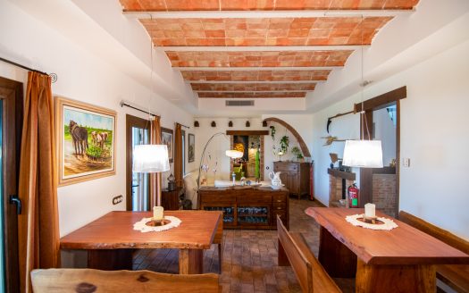 Farmhouse with Tourist Licence in the Ebro Delta (380)