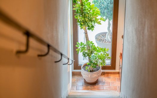 Farmhouse with Tourist Licence in the Ebro Delta (380)