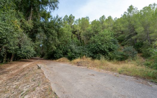 Large farmhouse to renovate next to the road (391)
