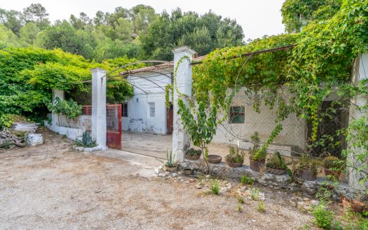 Large farmhouse to renovate next to the road (391)